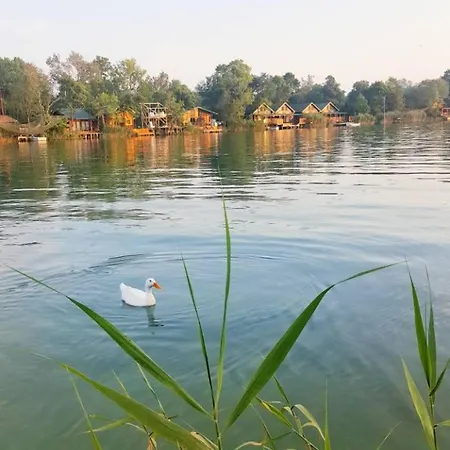 Sojenica - Bozo * Podgorica